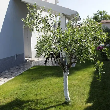 Apartman Titonel *