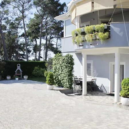 Apartman Titonel *